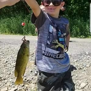 Meet your Posher, Kendrick